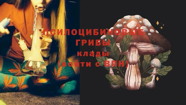 мяу мяу мука Богородицк