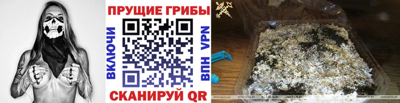 Галлюциногенные грибы Magic Shrooms  даркнет сайт  Юрьев-Польский 